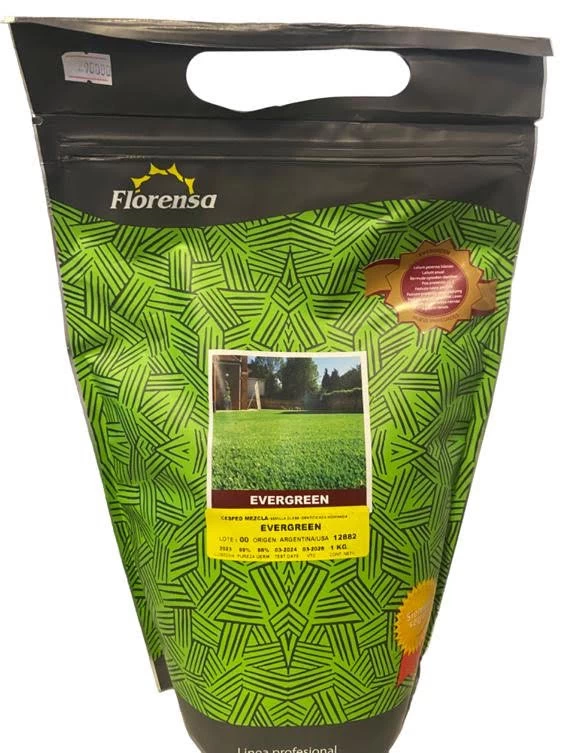 semilla-de-pasto-siempre-verde